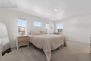 16149 Alpine Sorrel Dr, Monument, CO 80132 - Photo 22