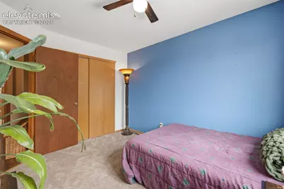 934 Square Dance Lane, Fountain, CO 80817 - Photo 20
