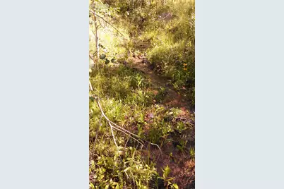 0 Unknown Na, Cripple Creek, CO 80813 - Photo 22