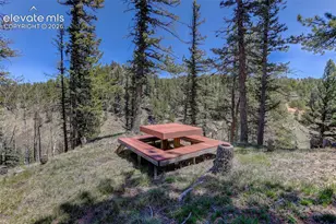 341 Rainbow Trail, Divide, CO 80814 - Photo 22