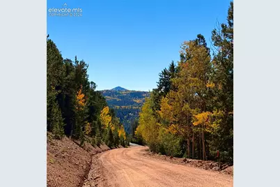 624 Witherite Drive, Divide, CO 80814 - Photo 20