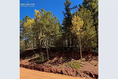 624 Witherite Drive, Divide, CO 80814 - Photo 1