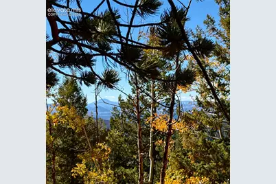 624 Witherite Drive, Divide, CO 80814 - Photo 12