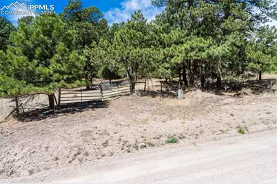 22555 County Road 49, Elbert, CO 80106 - Photo 4