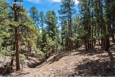 22555 County Road 49, Elbert, CO 80106 - Photo 12