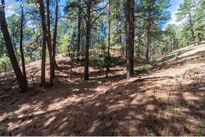 22555 County Road 49, Elbert, CO 80106 - Photo 10