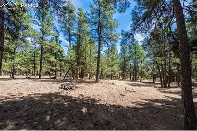 22555 County Road 49, Elbert, CO 80106 - Photo 28