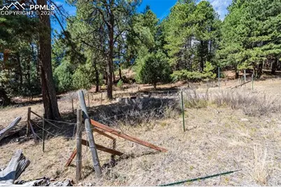 22555 County Road 49, Elbert, CO 80106 - Photo 6