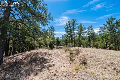 22555 County Road 49, Elbert, CO 80106 - Photo 20