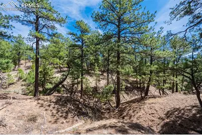 22555 County Road 49, Elbert, CO 80106 - Photo 26