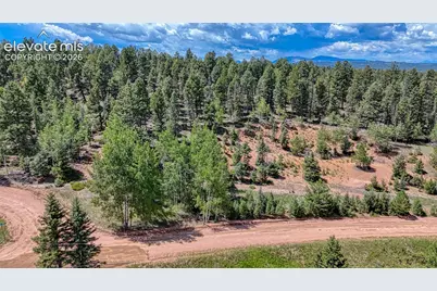 244 Spring Valley Lane, Florissant, CO 80816 - Photo 6