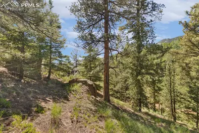 6050 Coffee Pot Road, Manitou Springs, CO 80829 - Photo 26