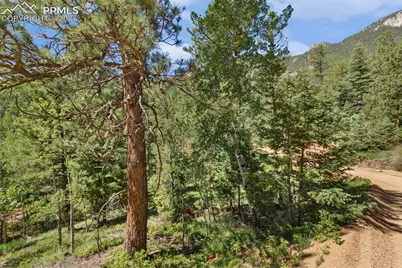 6050 Coffee Pot Road, Manitou Springs, CO 80829 - Photo 4
