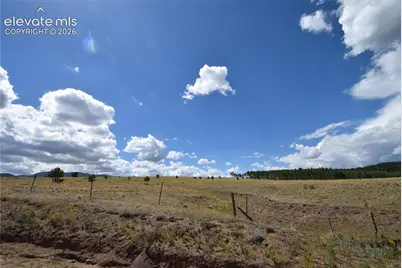 877 Maid Marian Drive, Divide, CO 80814 - Photo 46