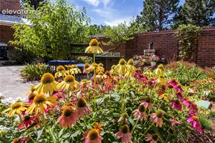 2760 Fox Grove Ct, Colorado Springs, CO 80906 - Photo 40