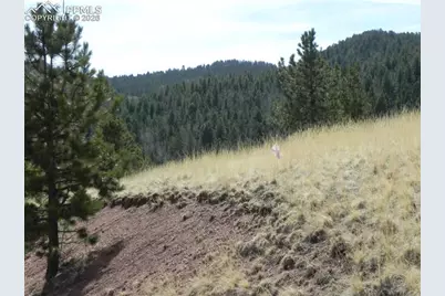 1058 Monarch Drive, Cripple Creek, CO 80813 - Photo 4