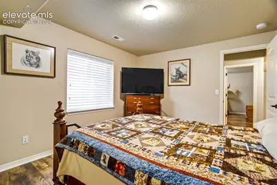 12456 Mount Bross Place, Peyton, CO 80831 - Photo 28
