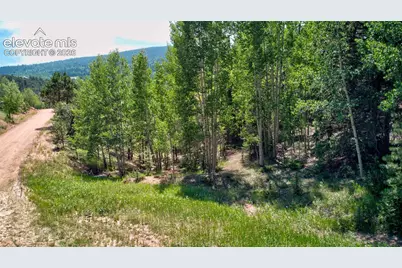 158 Rattler Court, Cripple Creek, CO 80813 - Photo 14