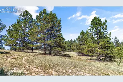 163 Valley View Drive, Florissant, CO 80816 - Photo 16
