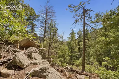 5110 Little Turkey Creek Road, Colorado Springs, CO 80926 - Photo 28