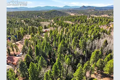 278 Cherry Lake Drive, Divide, CO 80814 - Photo 10