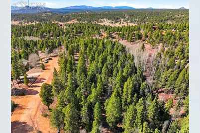 278 Cherry Lake Drive, Divide, CO 80814 - Photo 6