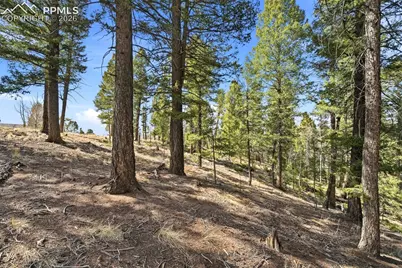 278 Cherry Lake Drive, Divide, CO 80814 - Photo 22
