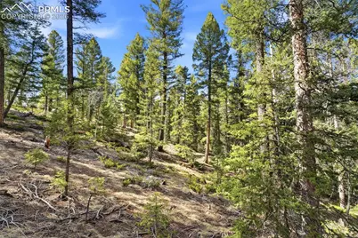 278 Cherry Lake Drive, Divide, CO 80814 - Photo 16