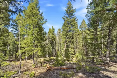 278 Cherry Lake Drive, Divide, CO 80814 - Photo 18