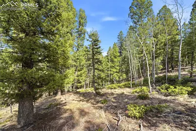 278 Cherry Lake Drive, Divide, CO 80814 - Photo 2