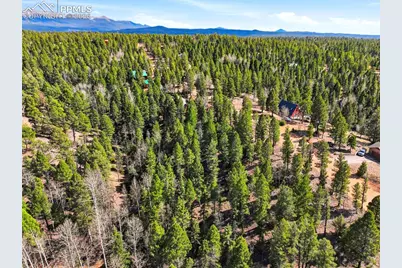 278 Cherry Lake Drive, Divide, CO 80814 - Photo 4