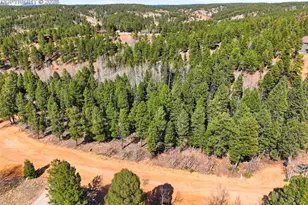 278 Cherry Lake Dr, Divide, CO 80814 - Photo 1