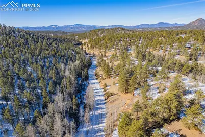 772 E Bison Creek Trail, Florissant, CO 80816 - Photo 8