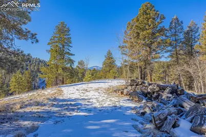772 E Bison Creek Trail, Florissant, CO 80816 - Photo 6