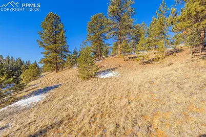 772 E Bison Creek Trail, Florissant, CO 80816 - Photo 2