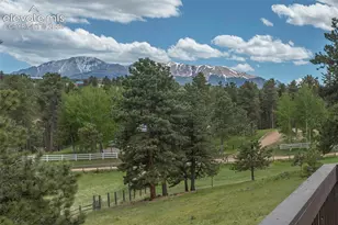 42 Bluebird Hill Na, Woodland Park, CO 80863 - Photo 4