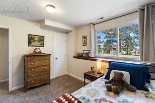 1010 W Bowman Ave, Woodland Park, CO 80863 - Photo 34