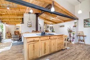 2493 Co Rd 782, Woodland Park, CO 80863 - Photo 14