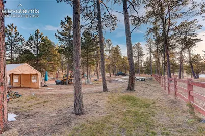 9920 Hodgen Road, Colorado Springs, CO 80908 - Photo 34