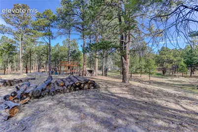9920 Hodgen Road, Colorado Springs, CO 80908 - Photo 30