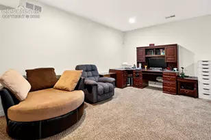 7260 Mountain Spruce Dr, Colorado Springs, CO 80927 - Photo 34