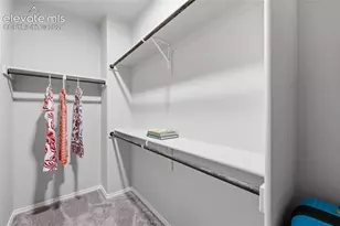 11104 Coastal Hls Ln, Peyton, CO 80831 - Photo 26