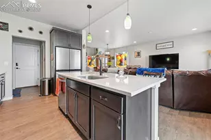 480 Indian Grass St, Calhan, CO 80808 - Photo 8