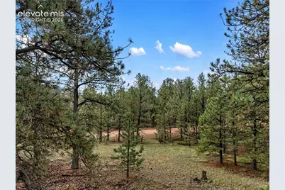 1583 County Road 12, Florissant, CO 80816 - Photo 12