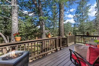 9120 Ute Road, Cascade, CO 80809 - Photo 10