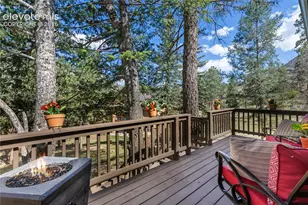 9120 Ute Rd, Cascade, CO 80809 - Photo 10