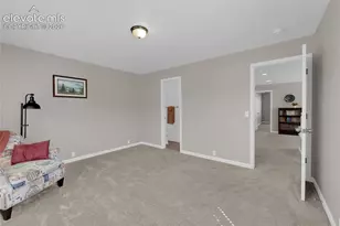 3931 Diamond Ridge View, Colorado Springs, CO 80918 - Photo 24