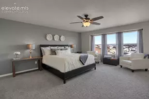 7059 Thorn Brush Way, Colorado Springs, CO 80923 - Photo 8