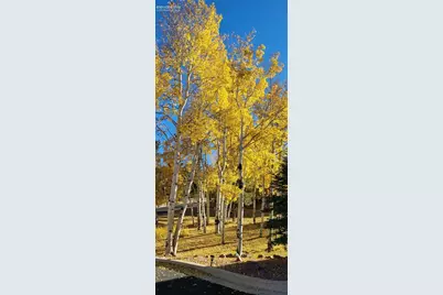 718 Misty Pines Circle, Woodland Park, CO 80863 - Photo 44