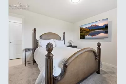 4145 Tree Creek Trail, Colorado Springs, CO 80918 - Photo 20